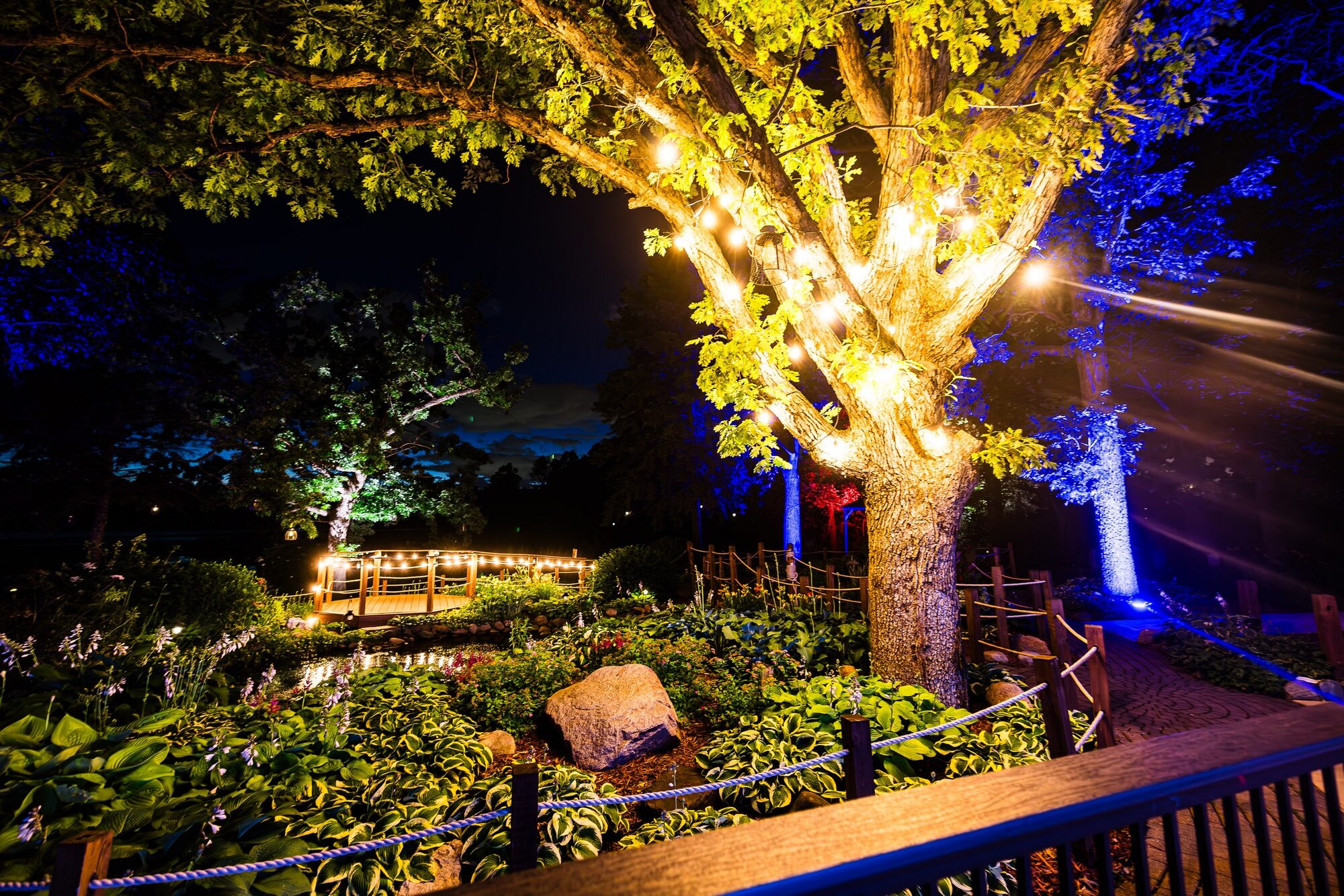 Illuminated gardens with string-lit trees and blue uplighting after dark at The Chart House, Lakeville MN